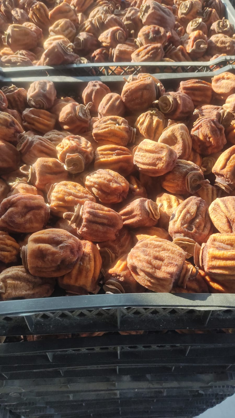 cennet elması -1kg-